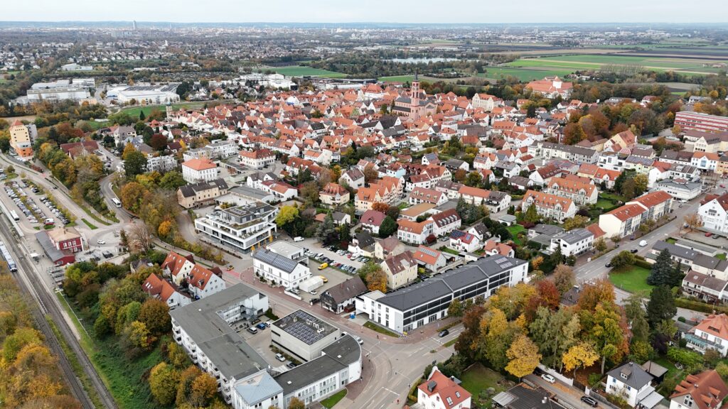 friedberg dynastie